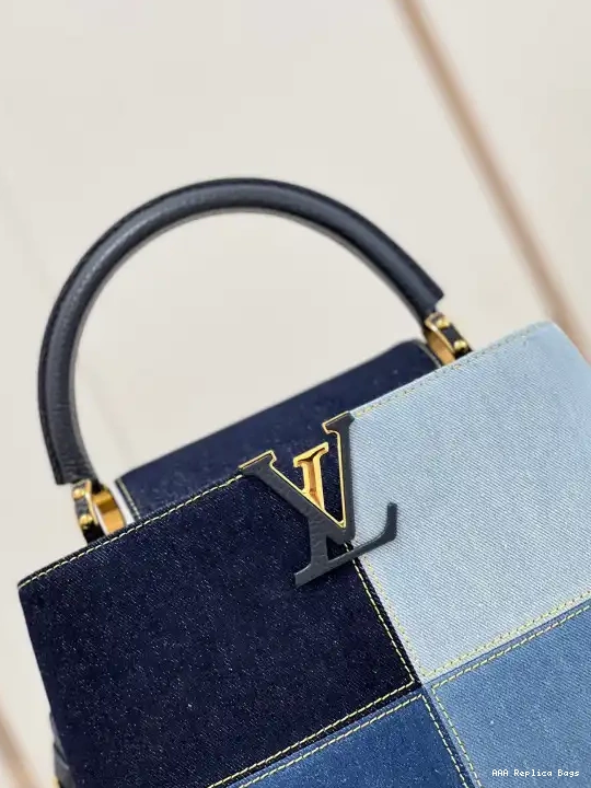 Aaa replica bags VUITTON CAPUCINES MM LOUIS 0613